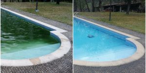 Limpeza piscina com algas